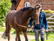 HC240925-55 - Rousham